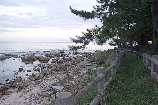 観音崎・観音島 の写真(86) 2007年09月15日