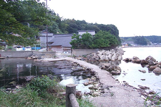 観音崎・観音島 の写真(89) 2007年09月15日