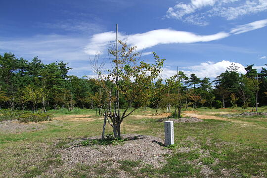 わくらの郷公園 の写真(84) 2007年09月15日