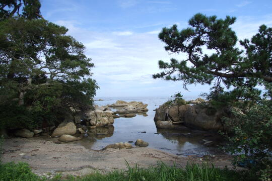 松島 の写真(84) 2007年09月15日