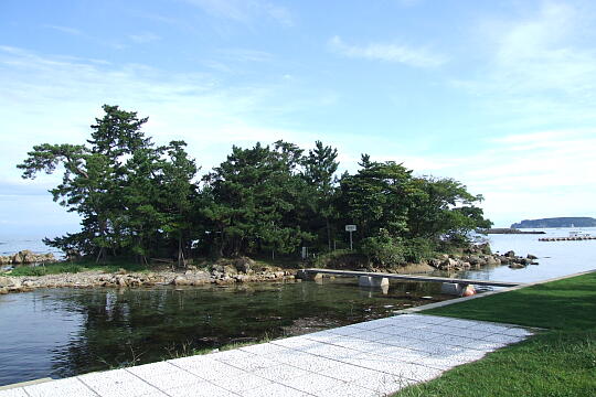 野崎海岸 の写真(82) 2007年09月15日