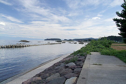 野崎海岸 の写真(88) 2007年09月15日