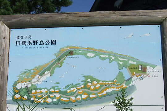 田鶴浜野鳥公園 の写真(89) 2007年09月15日