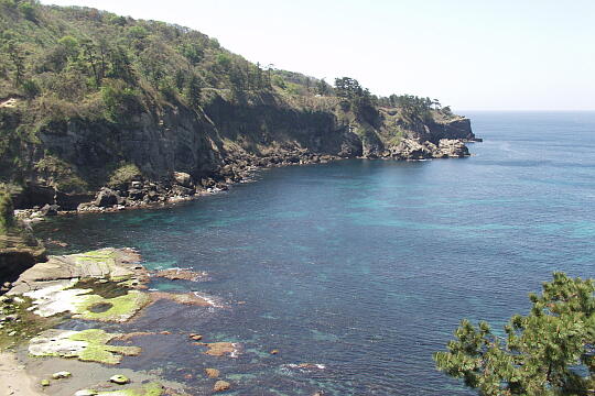 ヤセの断崖 の写真(81) 2006年05月04日
