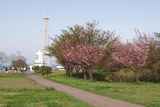 禄剛崎灯台 の写真(80) 2006年05月04日