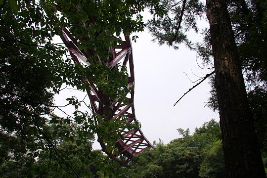 あやとり橋 の写真(88) 2005年06月26日