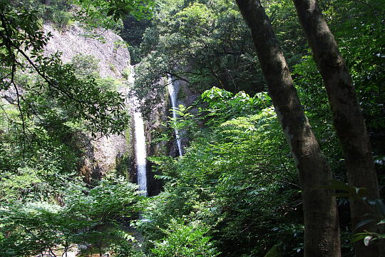鶴ヶ滝 の写真(84) 2008年08月03日