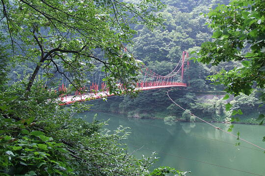 我谷吊橋・我谷ダム の写真(82) 2008年08月03日