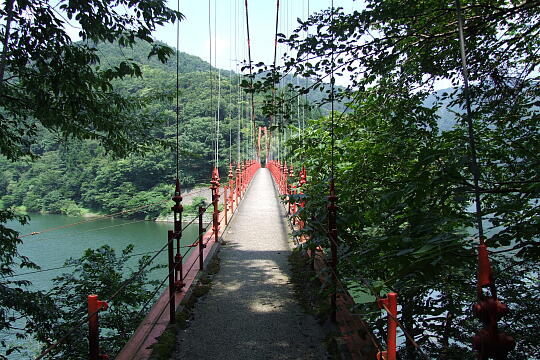 我谷吊橋・我谷ダム の写真(86) 2008年08月03日