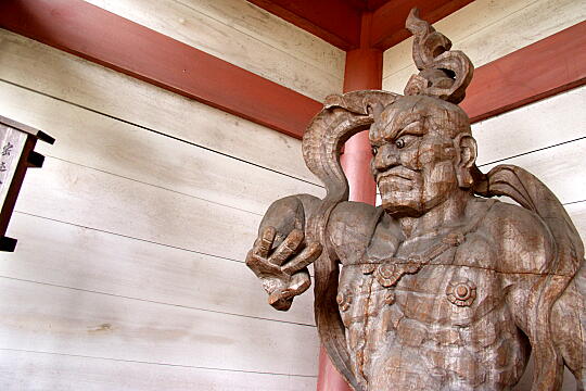 薬王院温泉寺 の写真(85) 2005年05月29日