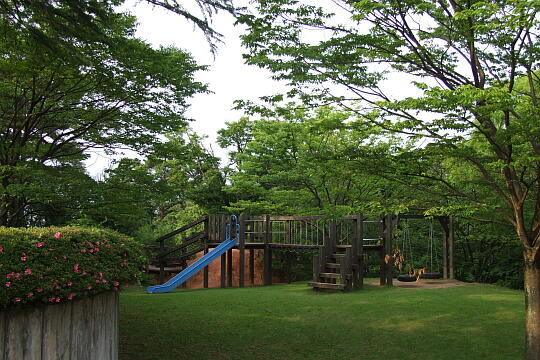 松籟公園 の写真(82) 2007年06月17日