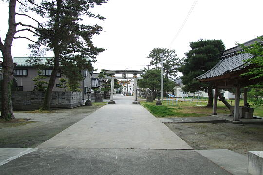 新治神社 の写真(84) 2009年05月04日