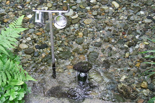 〔No.02〕前名寺の清水 の写真(80) 2009年05月04日