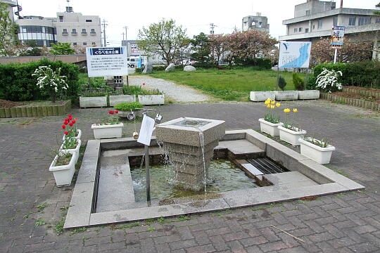 〔No.18〕名水公園の清水 の写真(80) 2009年05月04日