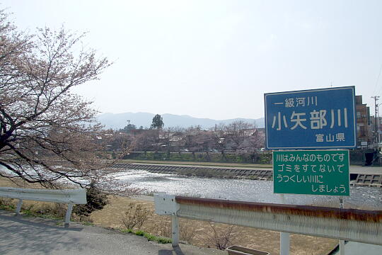 〔福光〕福光橋 の写真(80) 2008年04月06日