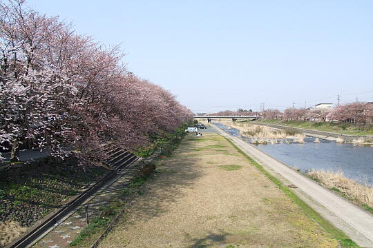 〔福光〕福光橋 の写真(84) 2008年04月06日