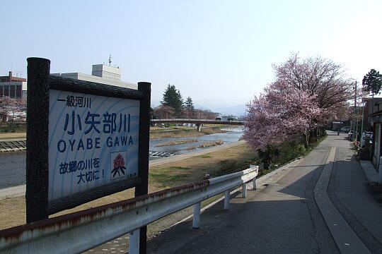 〔福光〕福光橋 の写真(88) 2008年04月06日