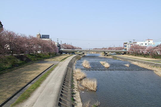 〔福光〕福光橋 の写真(89) 2008年04月06日