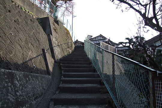 〔城端〕法乗寺の坂 の写真(80) 2008年04月06日