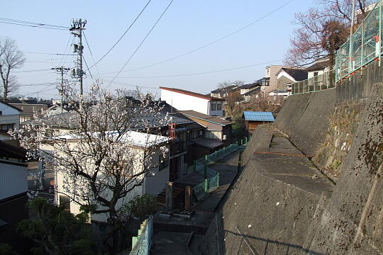 〔城端〕法乗寺の坂 の写真(81) 2008年04月06日