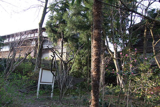 〔城端〕川島地区・文次郎杉 の写真(85) 2008年04月06日