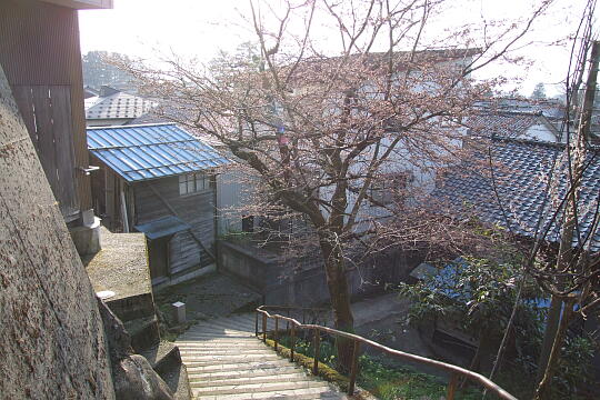 〔城端〕桜坂 の写真(82) 2008年04月06日