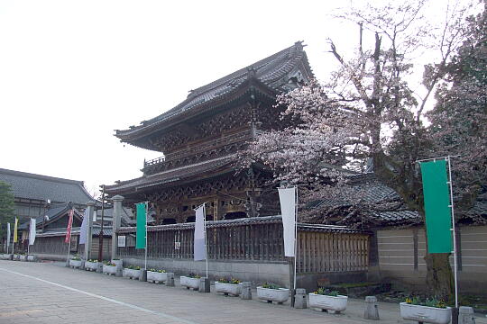 〔城端〕城端別院 善徳寺 の写真(86) 2008年04月06日