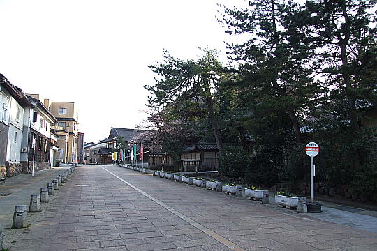 〔城端〕善徳寺前の道路 の写真(84) 2008年04月06日