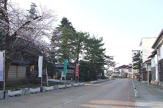 〔城端〕善徳寺前の道路 の写真(85) 2008年04月06日