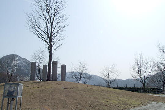 道の駅 利賀（TOGAみどりの一里塚） の写真(86) 2009年03月21日