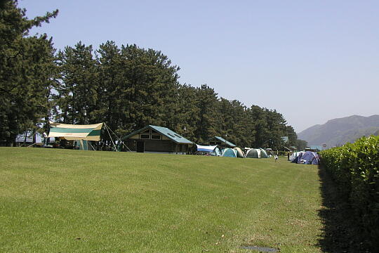 朝日ヒスイ海岸オートキャンプ場 の写真(80) 2005年05月03日