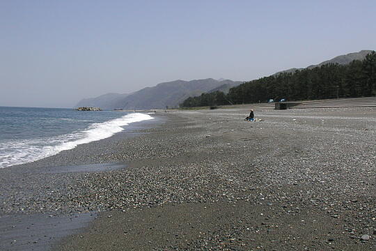 宮崎海岸 の写真(84) 2005年05月03日