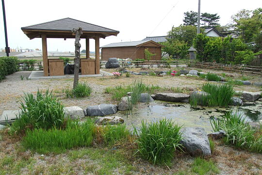 五十里湧水の庭 の写真(85) 2009年05月04日