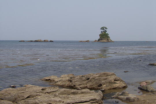 雨晴海岸・雨晴岩 の写真(85) 2005年06月25日