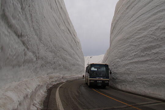 雪の大谷 の写真(82) 2006年05月06日