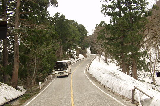 立山有料道路（５月） の写真(84) 2006年05月06日