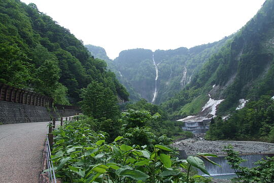 称名滝・ハンノキ滝（遊歩道） の写真(80) 2008年06月07日
