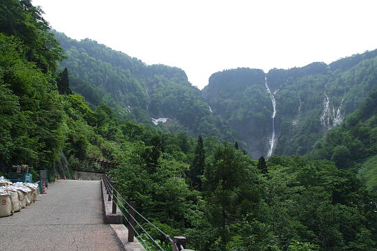 称名滝・ハンノキ滝（遊歩道） の写真(82) 2008年06月07日