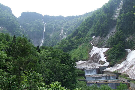 称名滝・ハンノキ滝（遊歩道） の写真(83) 2008年06月07日