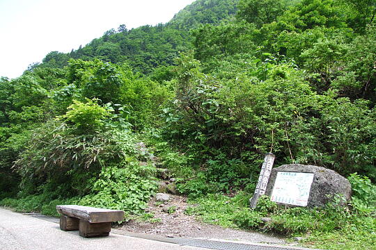 称名滝・ハンノキ滝（遊歩道） の写真(84) 2008年06月07日