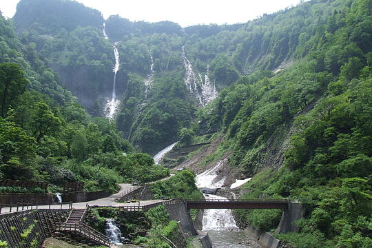 称名滝・ハンノキ滝（遊歩道） の写真(86) 2008年06月07日