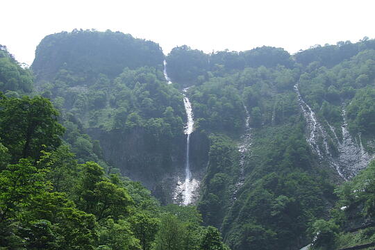 称名滝・ハンノキ滝（遊歩道） の写真(87) 2008年06月07日