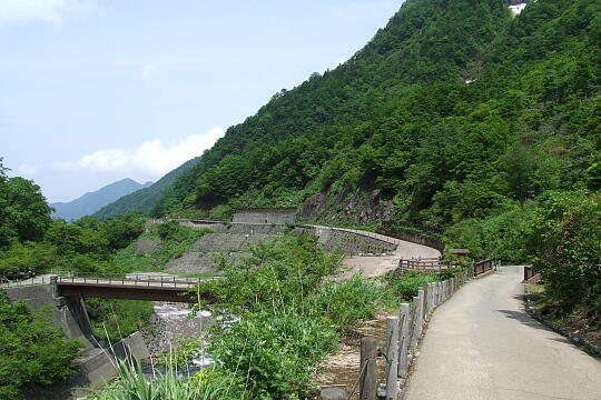 称名滝・ハンノキ滝（遊歩道） の写真(89) 2008年06月07日