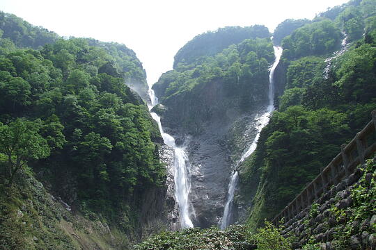 称名滝・ハンノキ滝（滝見台） の写真(83) 2008年06月07日