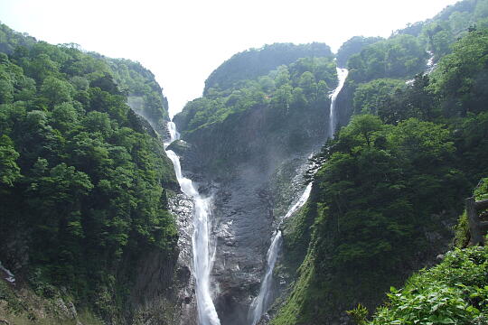 称名滝・ハンノキ滝（滝見台） の写真(84) 2008年06月07日