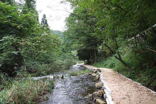 宮島峡(子撫川)の二の滝 の写真(82) 2007年09月17日