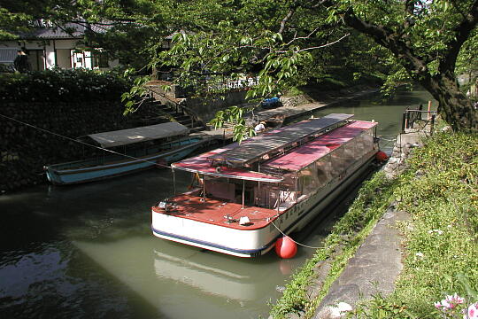 松川遊覧船（富山観光遊覧船） の写真(80) 2005年05月03日