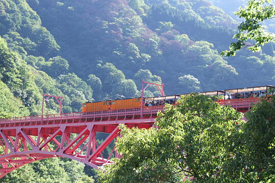 新山彦橋（鉄道橋） の写真(86) 2009年10月12日