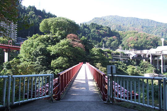 旧山彦橋（やまびこ遊歩道） の写真(86) 2009年10月12日