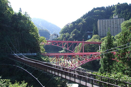 弥太蔵吊橋 の写真(83) 2009年10月12日
